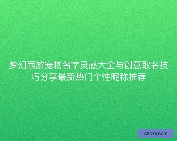 梦幻西游宠物名字灵感大全与创意取名技巧分享最新热门个性昵称推荐